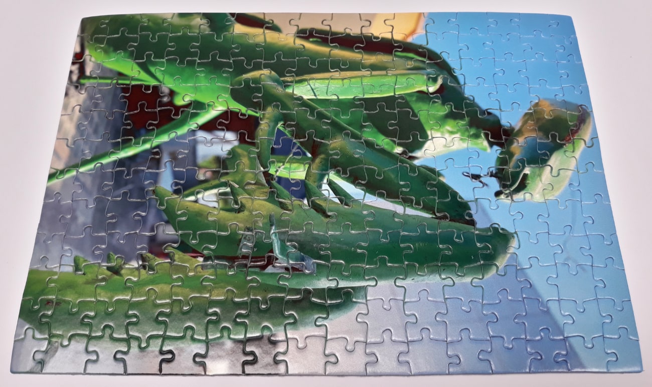 Puzzle personalizado de 192 piezas