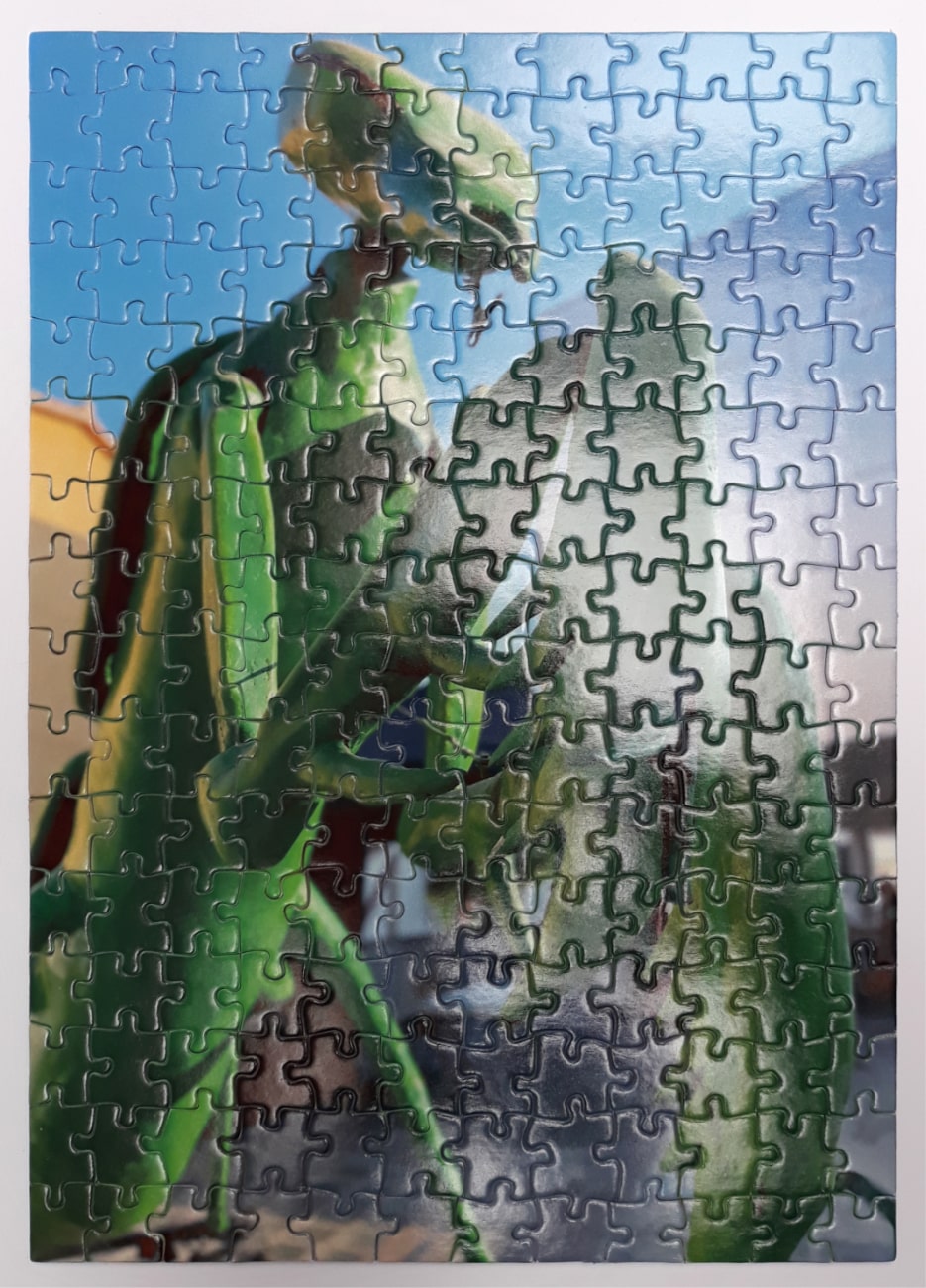 Puzzle personalizado de 192 piezas